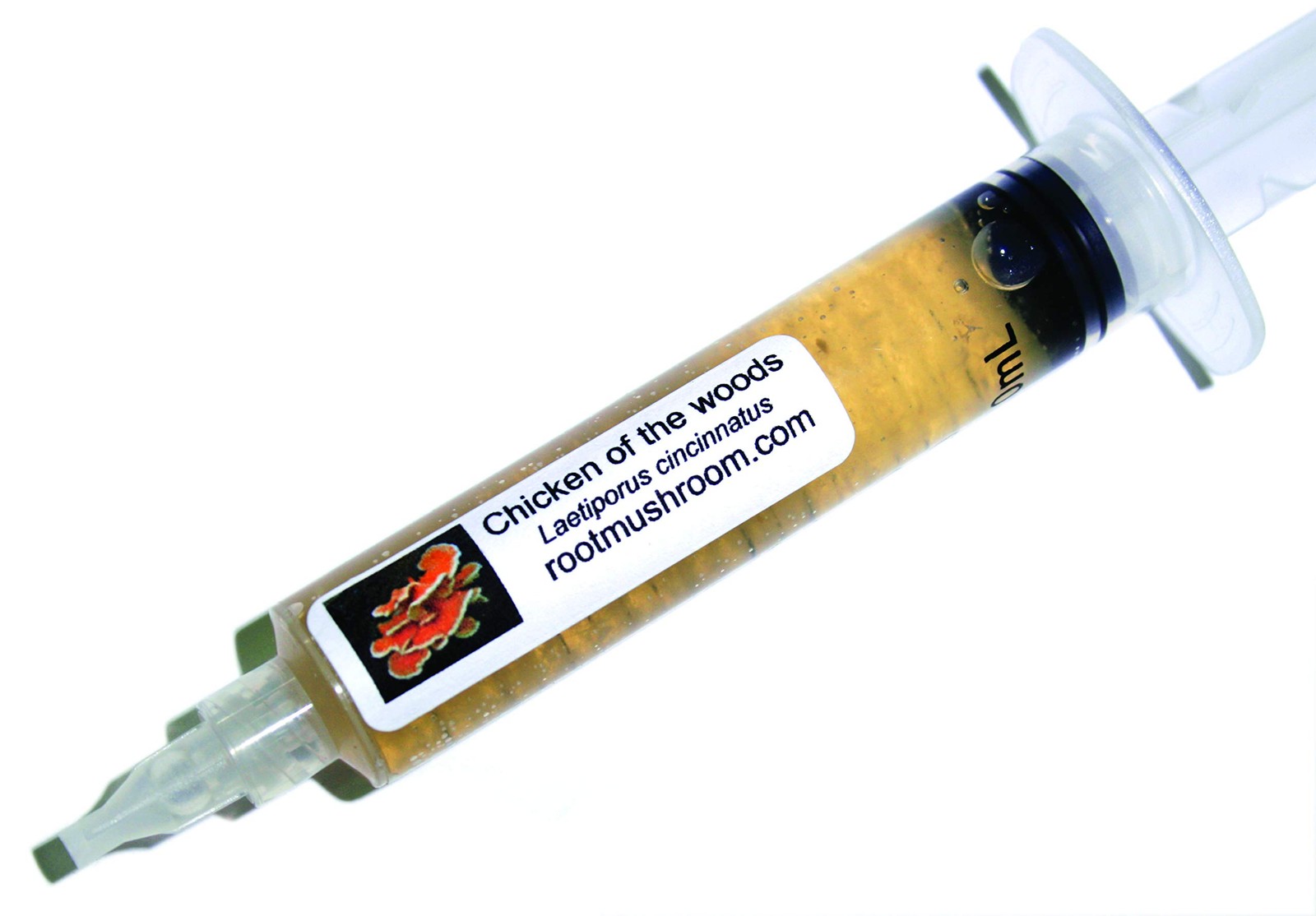 30 Liquid Mushroom Cultures – Chicken of the Woods (Laetiporus Cincinnatus)