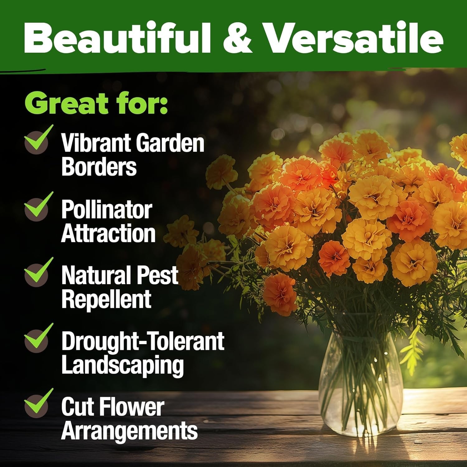 Marigold Seeds Bulk Mix – 5600+ Crackerjack Marigold Flower Seeds for Planting O