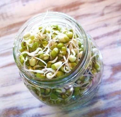 12 oz Mung Bean