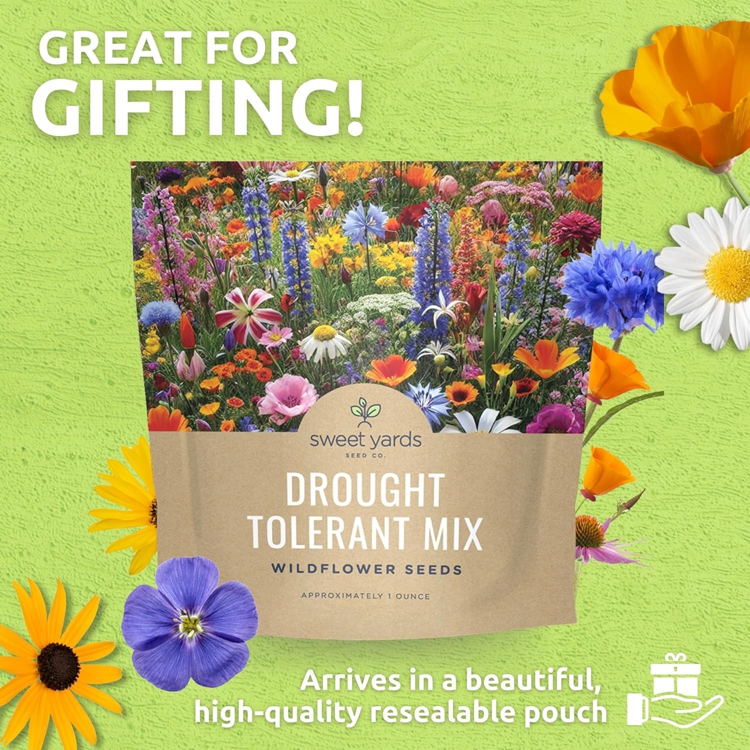 Extra Large Wildflower Seed Mix – Over 21 Species for Colorful Sustainability