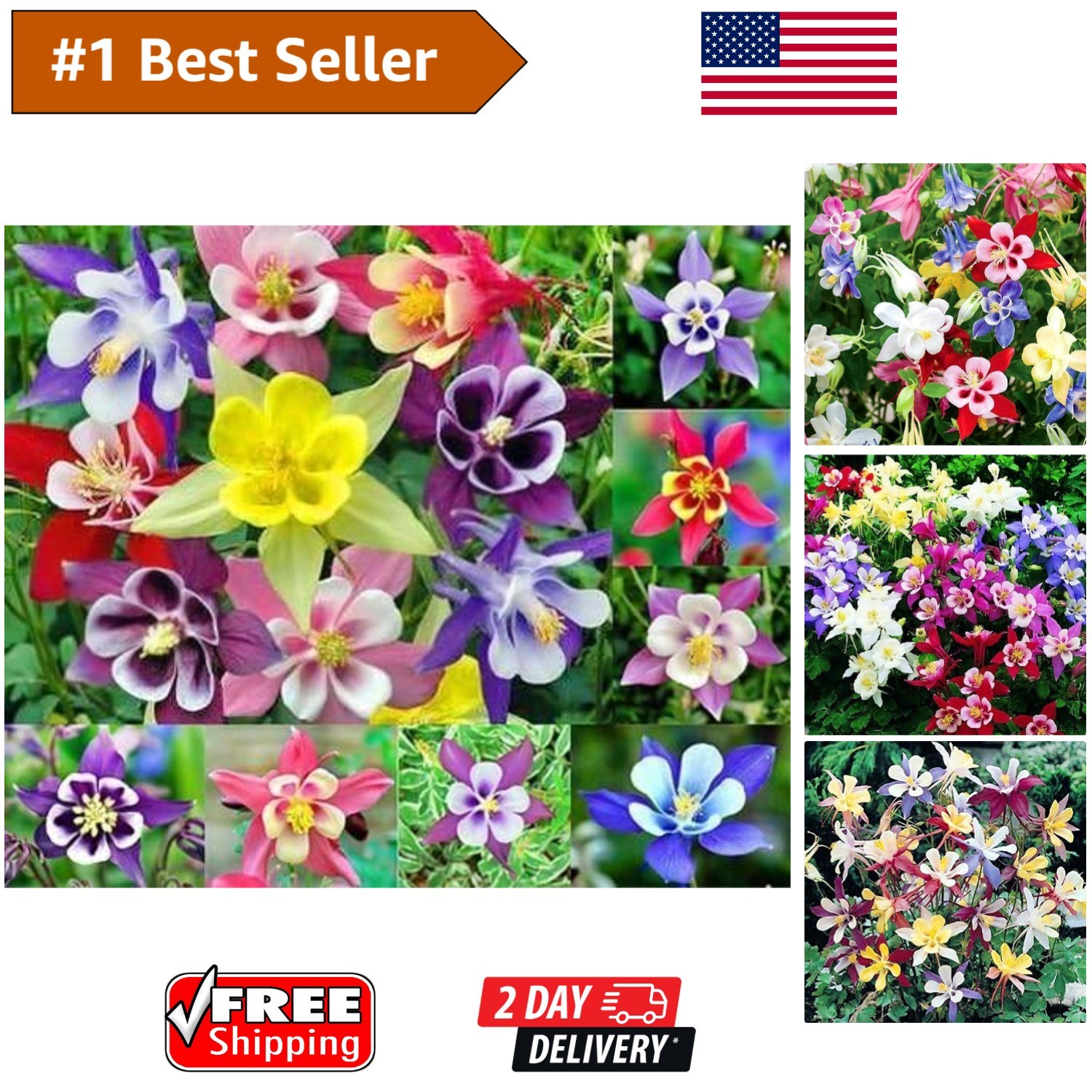 Perennial Columbine McKana Seeds – 200 Heirloom Blooms for Your Outdoor Oasis