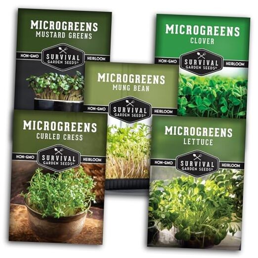 Microgreens Seeds-Variety Pack for Sprouting – Mustard, Mung Bean, Curled 5
