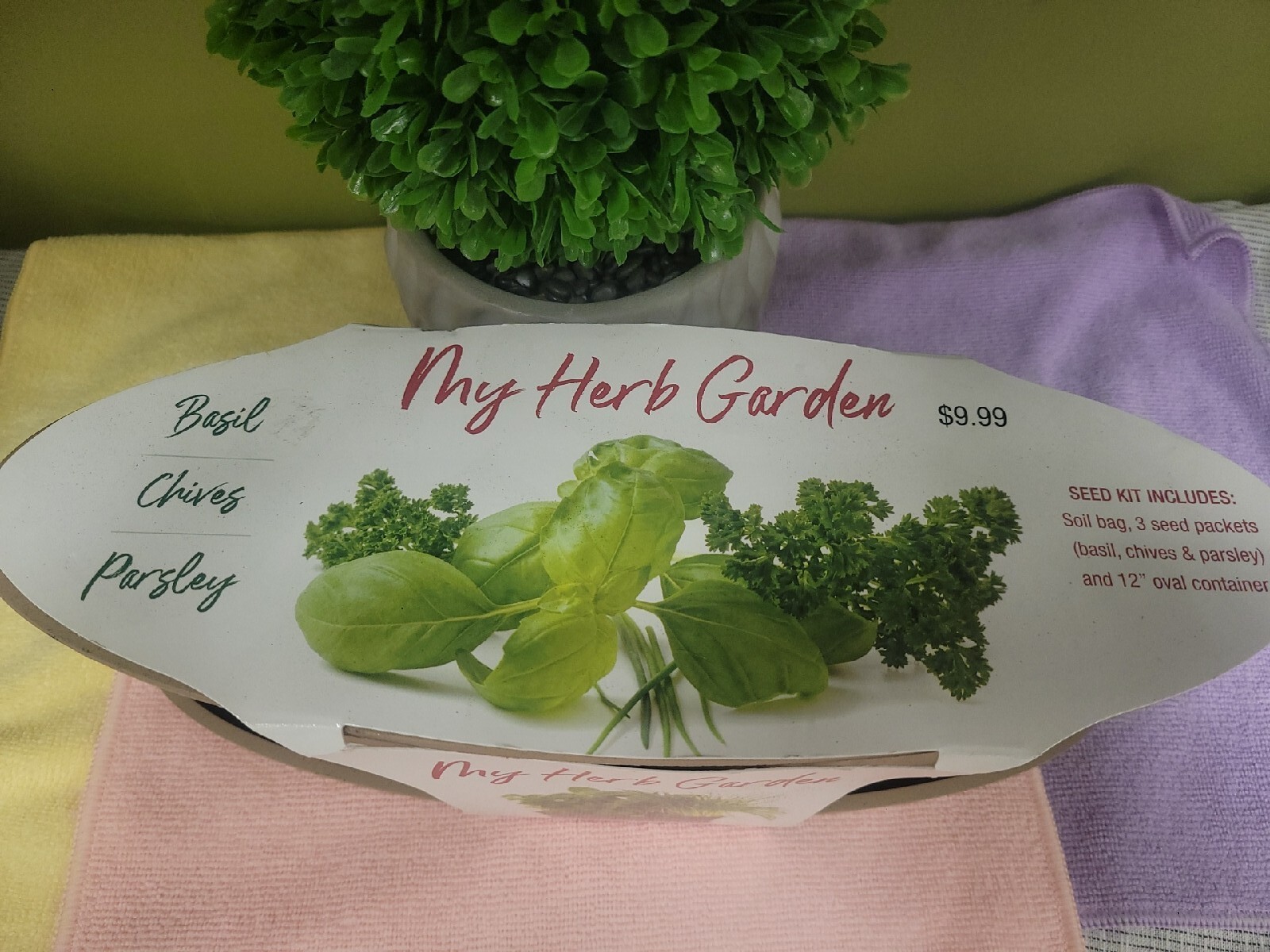 My Herb Garden Basil, Chives, Parsley Seed Planter Kit Kitchen Window Garden