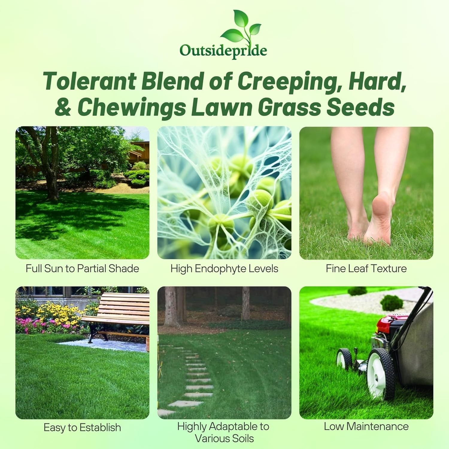 10 Lbs. Fine Fescue Grass Seed with OptiGrowth Coating for Vibrant Lawns