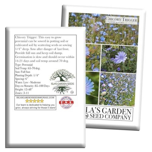 Trigger Chicory Flower Seeds (Cichorium intybus) – 1500+ Heirloom Non-GMO