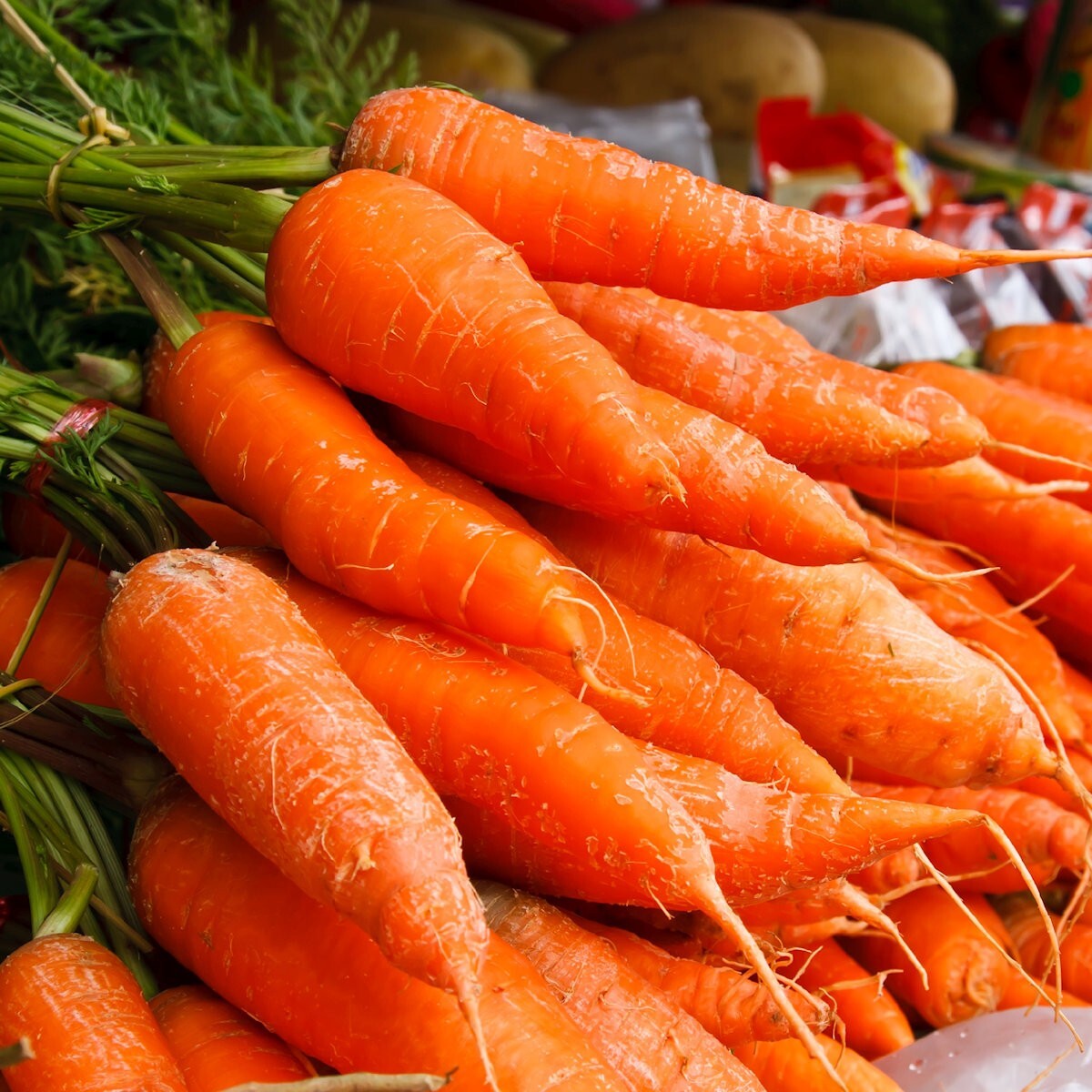 1 Lb Chantenay Royal Carrot Seeds – Everwilde Farms Mylar Seed Packet
