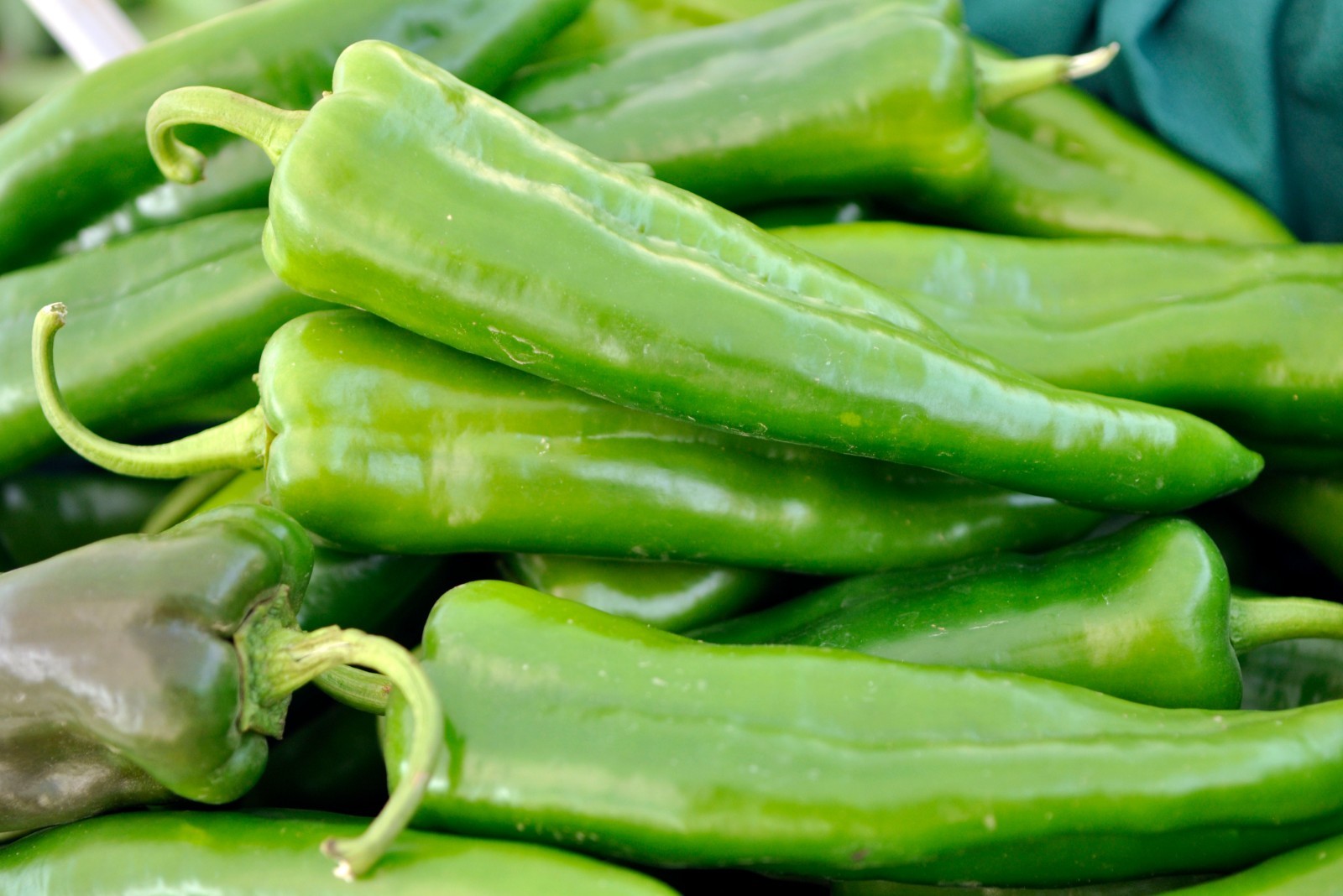 101+ANAHEIM CHILI PEPPER Seeds Organic Heirloom Vegetable Garden Container Easy