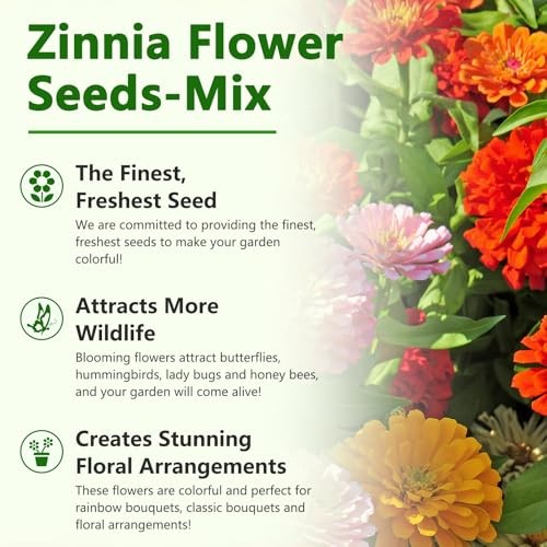 for 2026, California Giant Bulk, 10,000+ Double Dahlia Medium Pack Zinnia Seeds