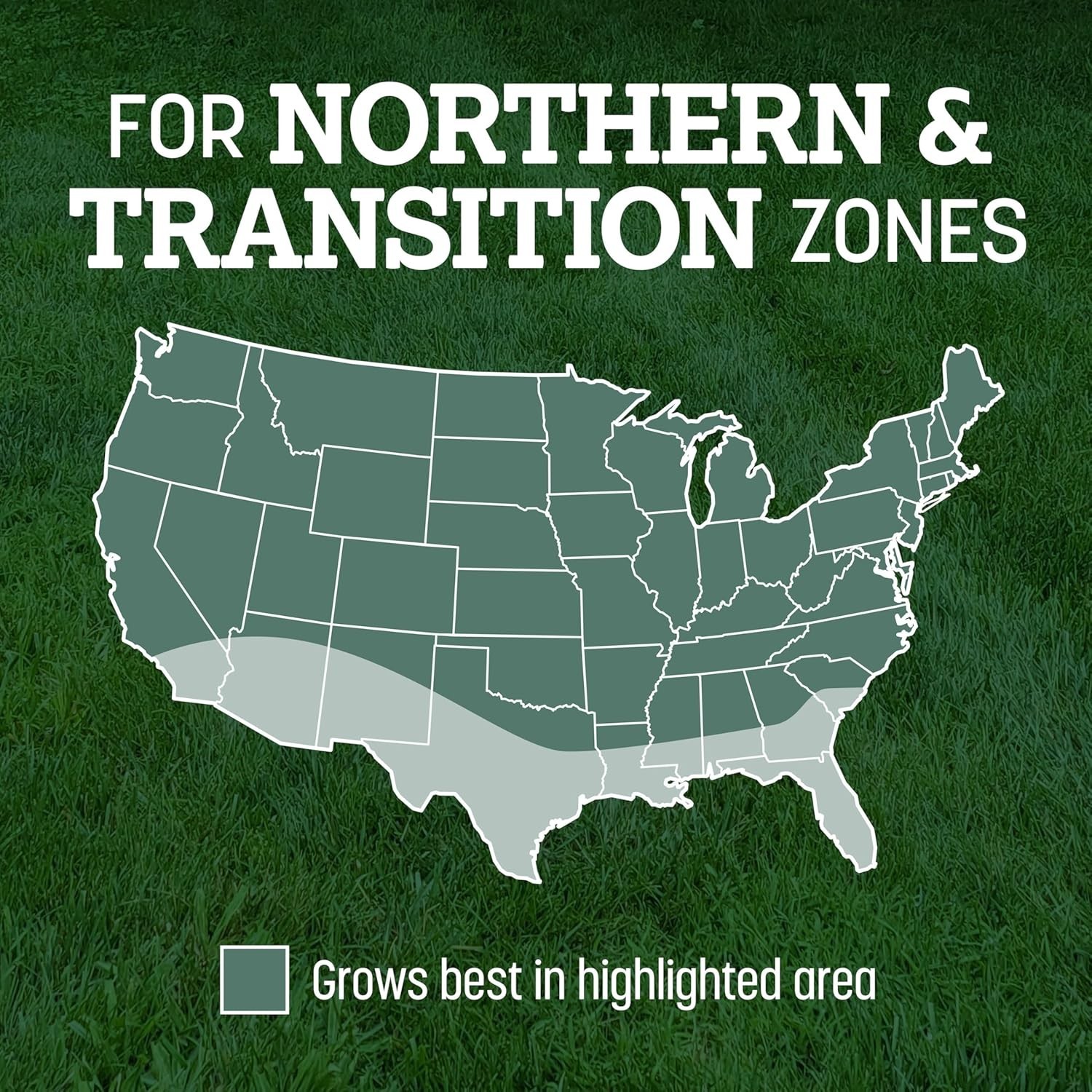 Create a Lush Kentucky 31 Fescue Lawn – 3 LB Grass Seed for Up to 4,000 sq. ft.