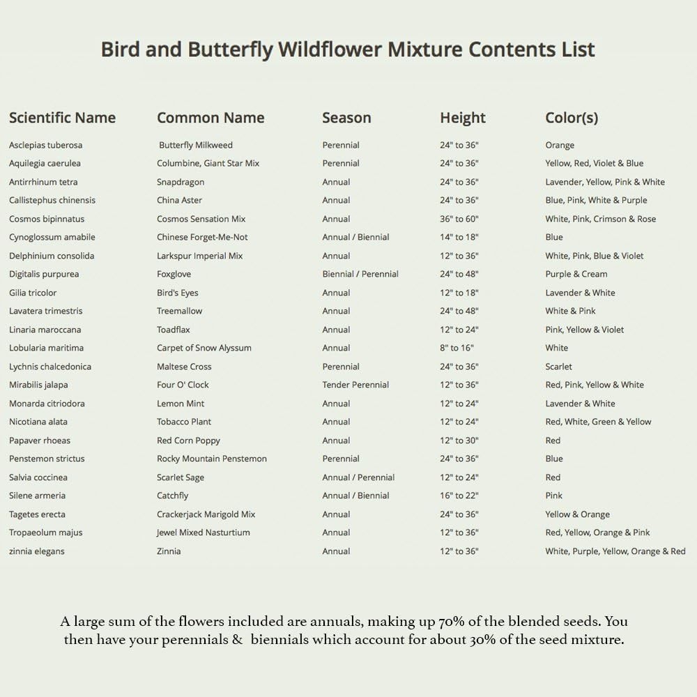 Seed Needs Hummingbird and Butterfly Wildflower Mixture NO FILLER – 1/2 LB