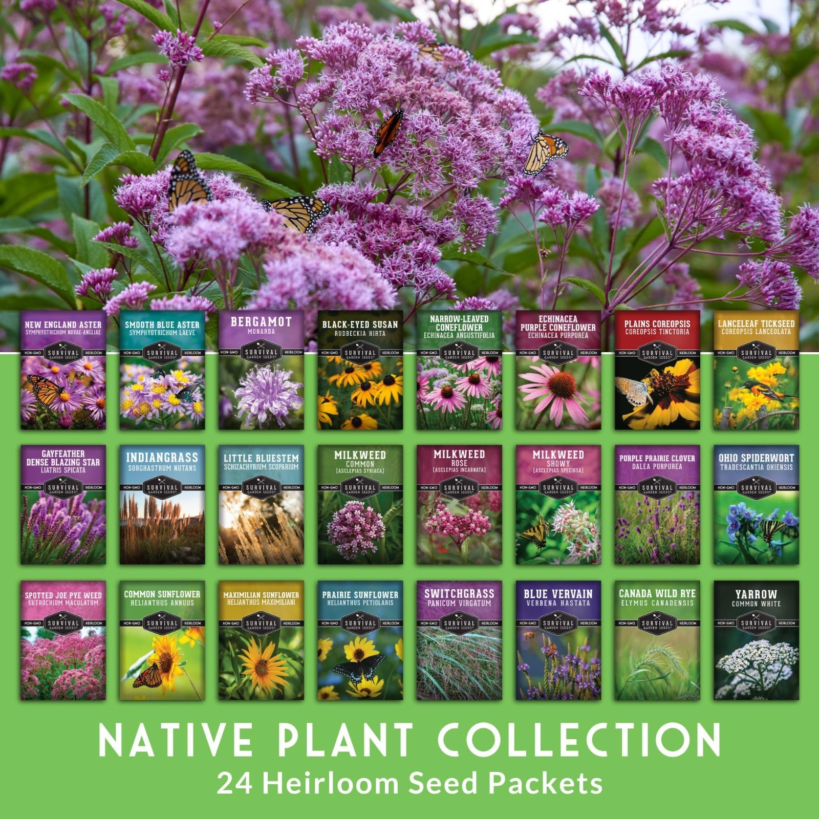 Wildflower Seeds Variety Pack – 24 Non-GMO Perennial & Annual Flowers for Pollin