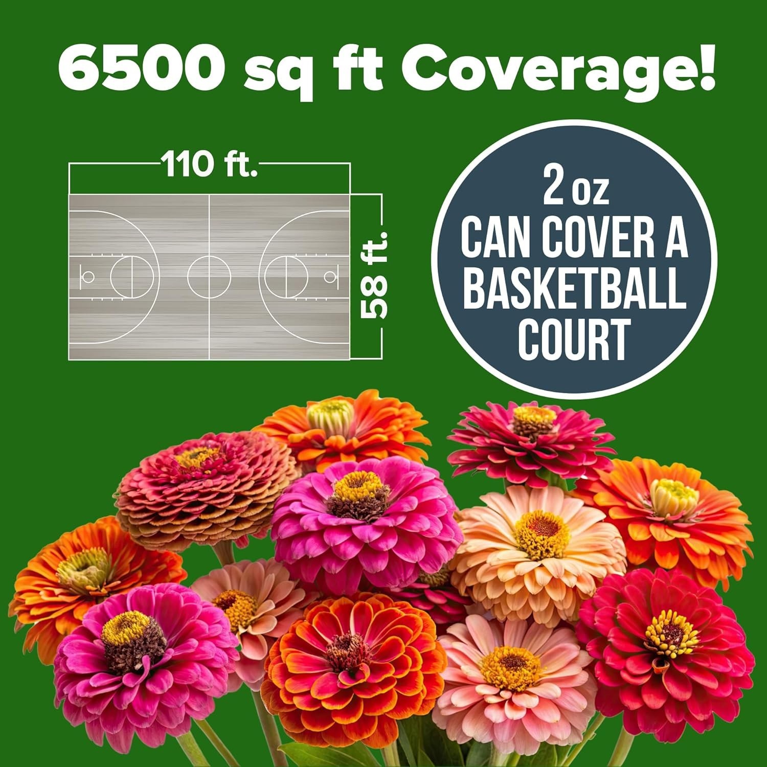 Zinnia Seeds for 2026 – California Giant Mix – 7,300+ 2 oz Plant Wildflower B…