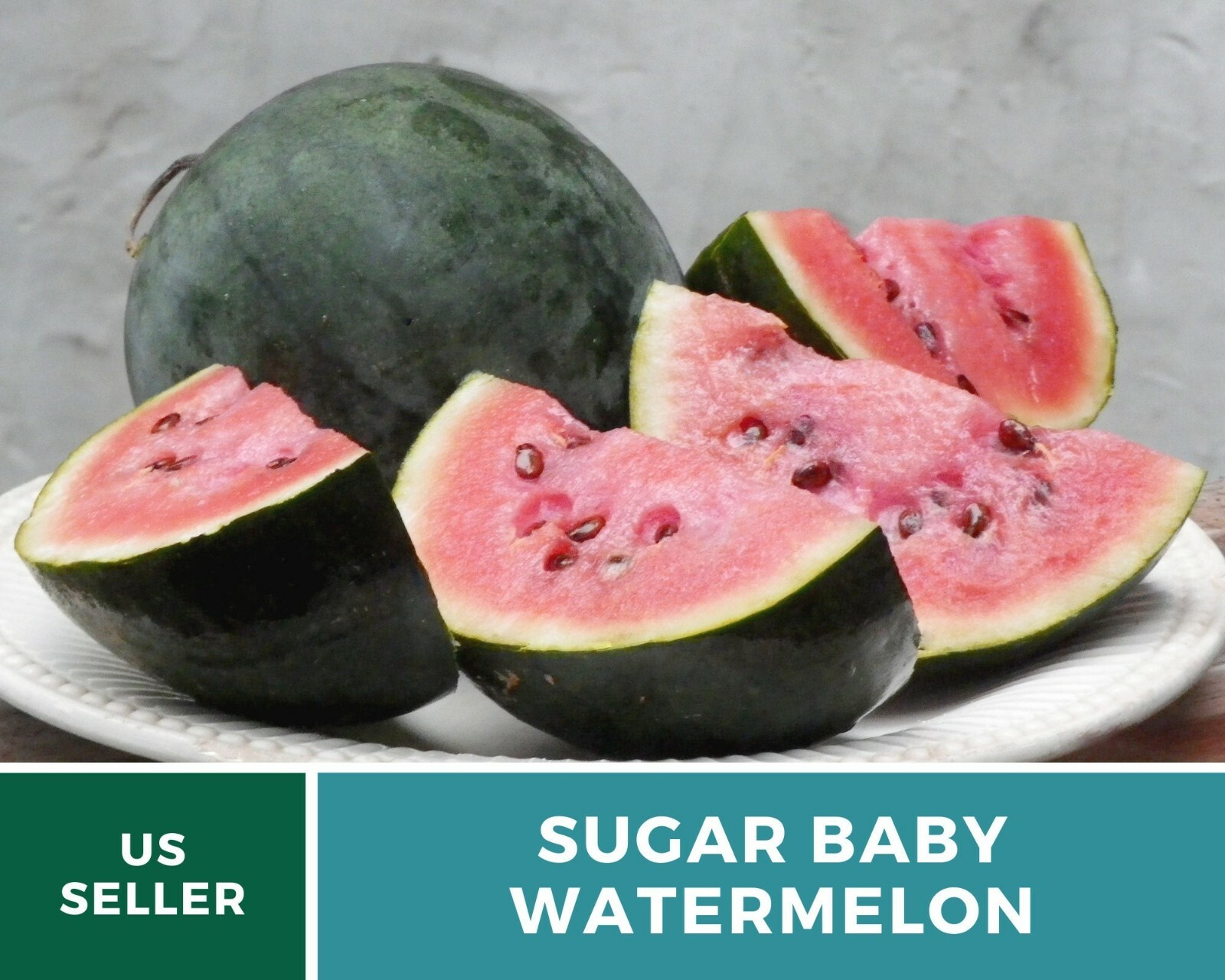Watermelon, Sugar Baby – 25 Seeds – Heirloom – Open Pollinated – GMO Free (Citru