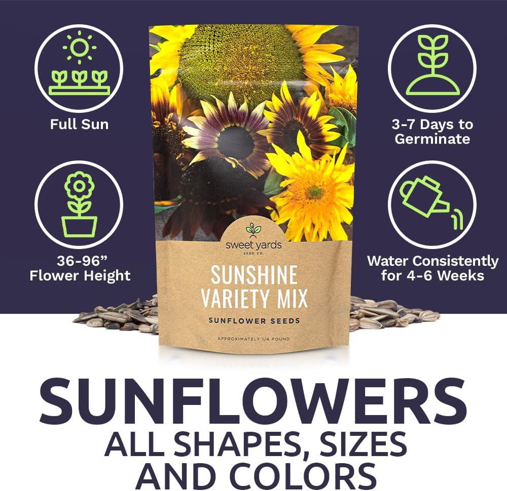 Bulk Sunflower – Variety Mix 10 Types of Beautiful Sunflowers – 1/4 Pound Bag O