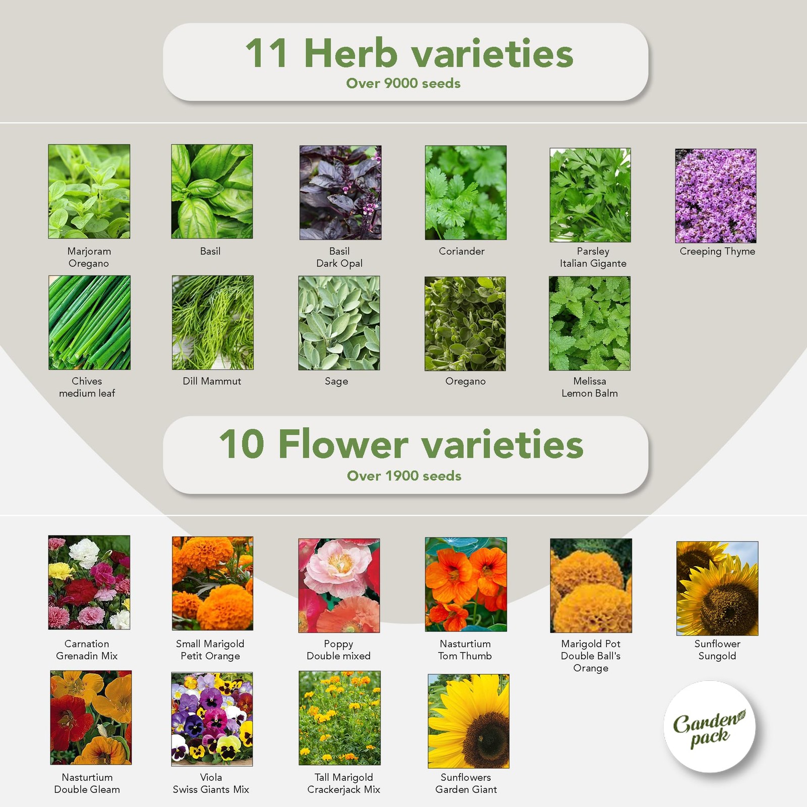 Vegetable Seeds Pouch – 50 Varieties of Vegetable, Herb & Flower Seeds for Pl…