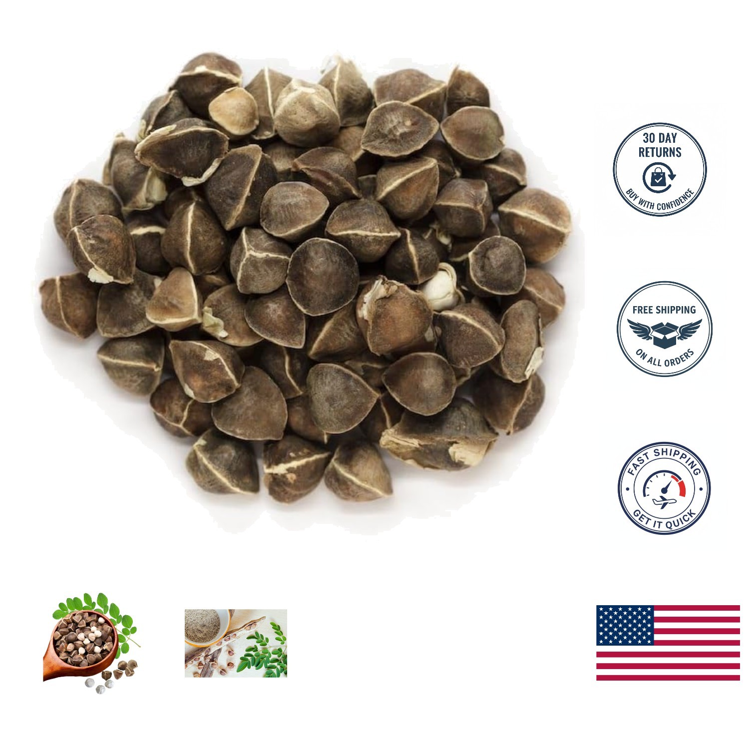 30 Non-GMO Organic Moringa Seeds For Easy Sprouting & Nutritional Boost