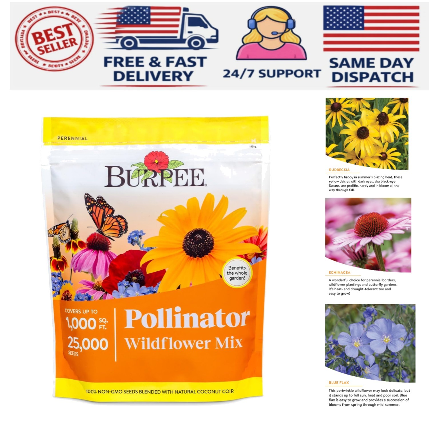 Seasonal Blooming Wildflower Seed Mix – 25,000 Non-GMO Seeds for Pollinators
