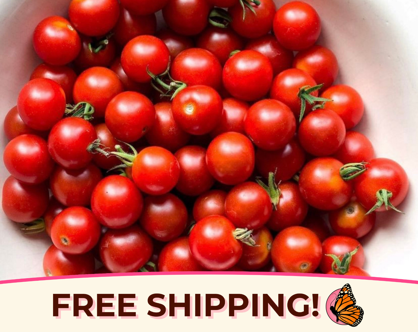 600+ Tomato Seeds ‘Sweetie’ | Heirloom, Non-GMO, Vegetable Gardening Seed