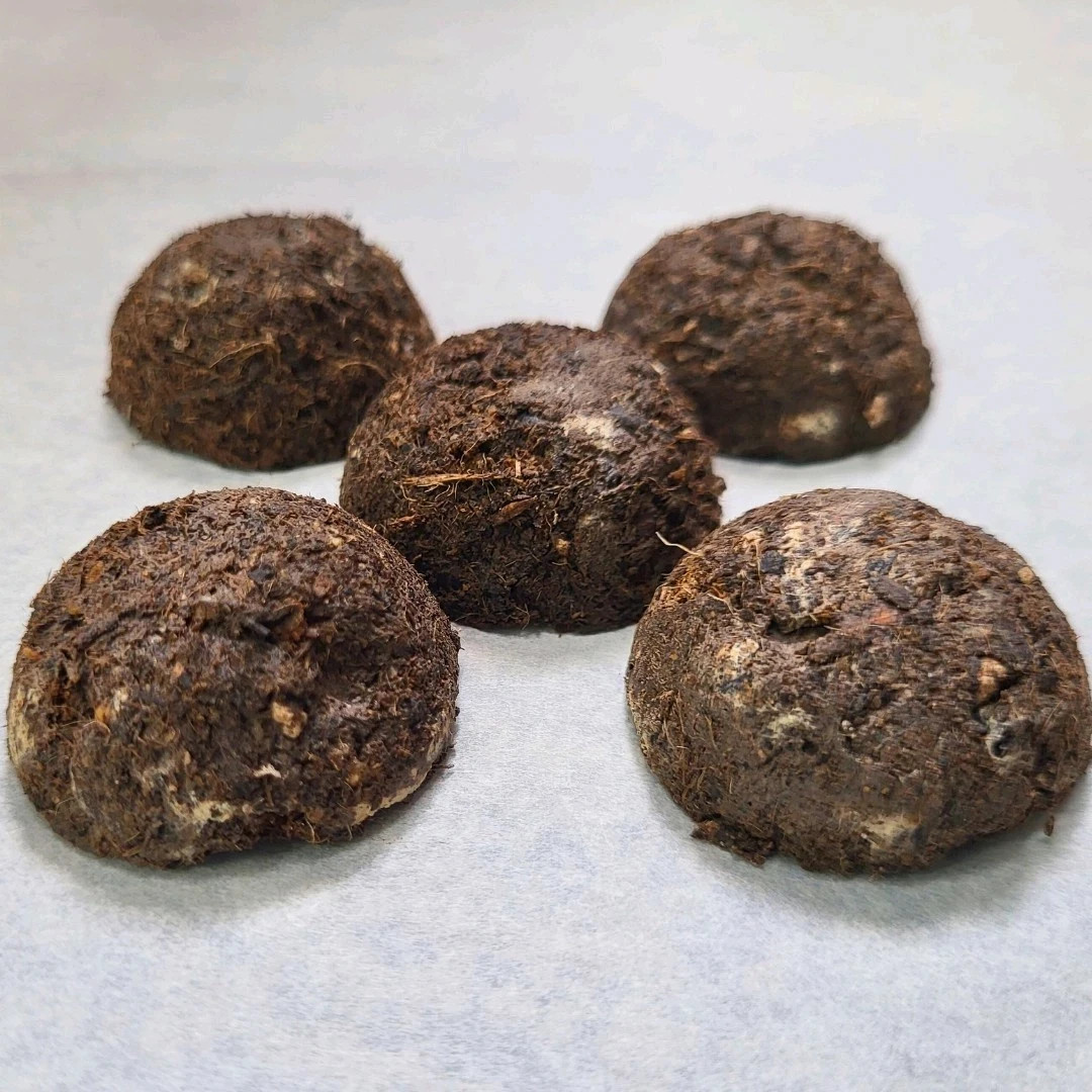 Bad Apples THE BAD HABIT™ – Tobacco Seed Bomb – Erosion Fix Guerrilla Gardener