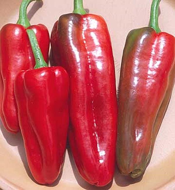 Pepper Seed – Sweet Marconi Italian Red Seeds
