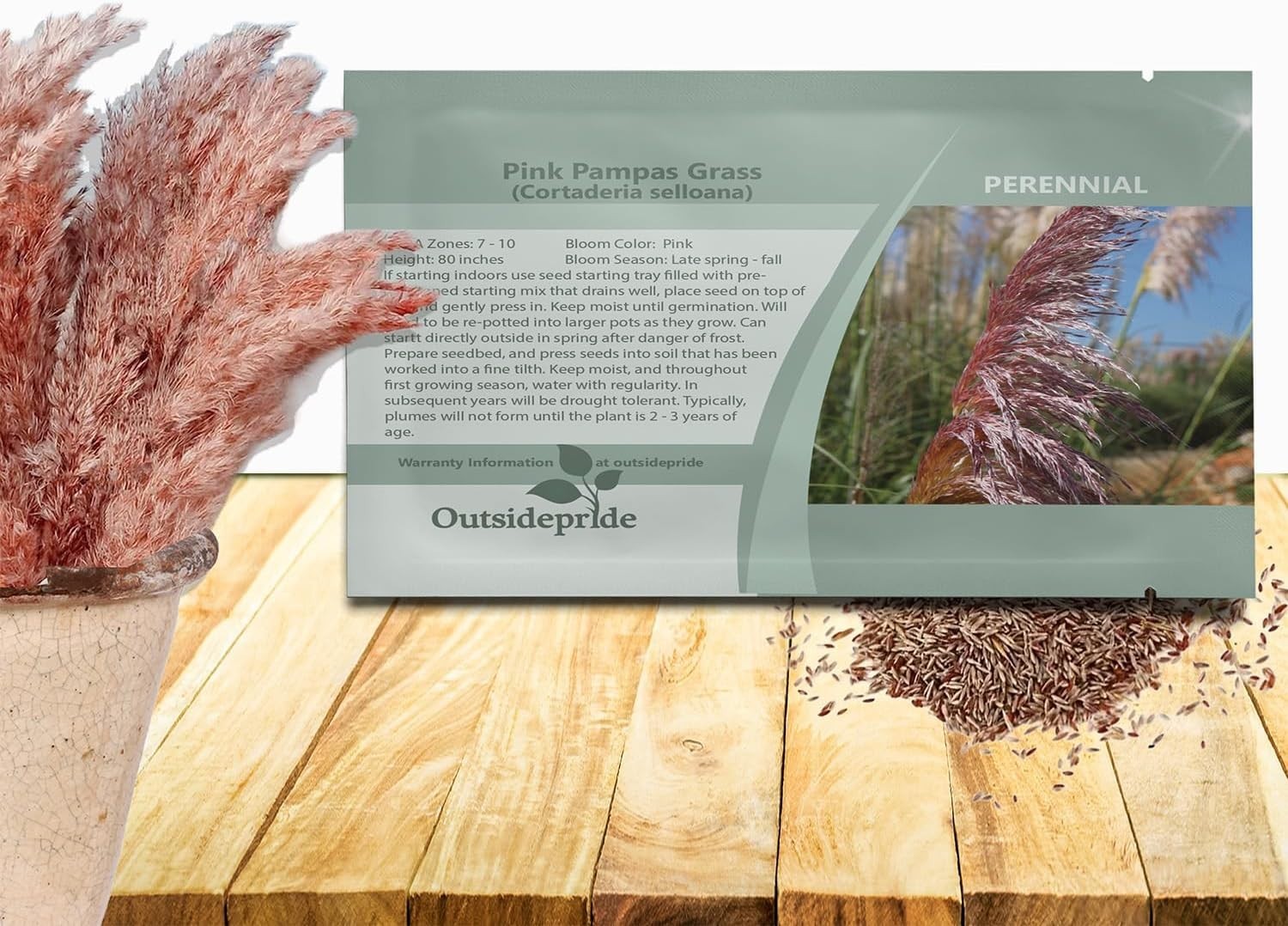Pink Pampas Grass Seeds – 1,000 Pcs. Perennial, Drought-Tolerant Ornamental G…