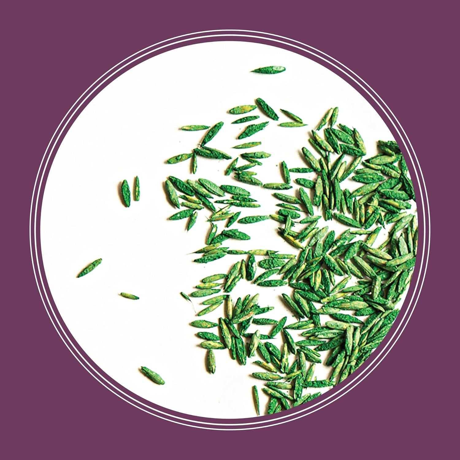 The Rebels Tall Fescue Shady Grass Seed Mix 7 lb