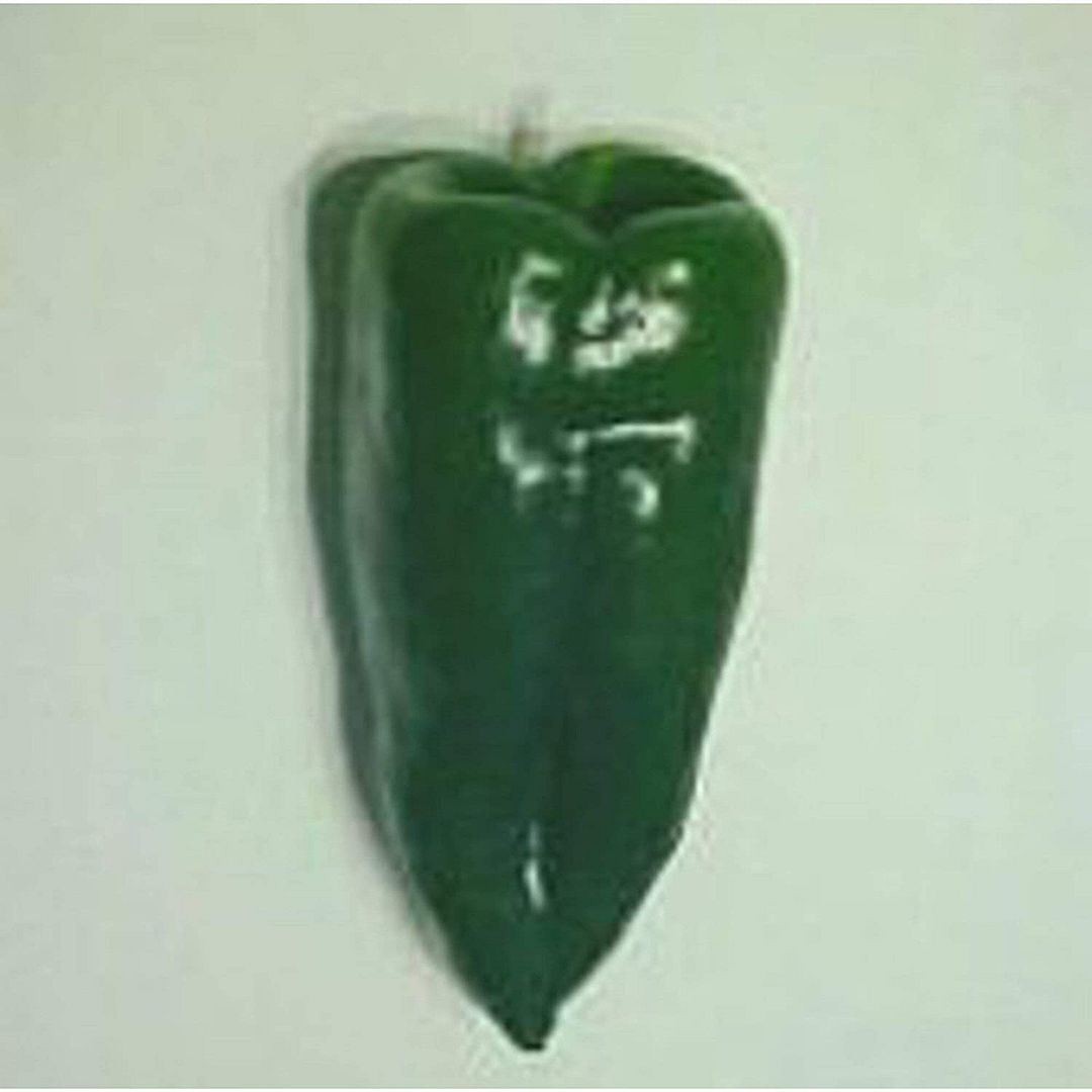 Ancho Mexican Large Hot Peppers Seeds (25 Seed Packet) (More Heirloom, Organic,