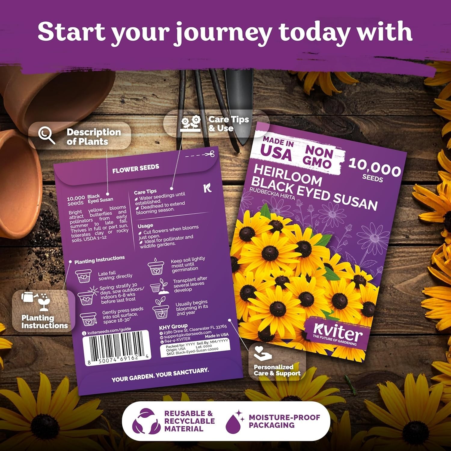 Wildflower Seed Pack Black Eyed Susan for Summer Blooming Gardens