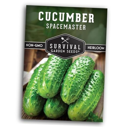 Spacemaster Cucumber Seeds for Planting | Compact Heirloom Non-GMO Variety 1
