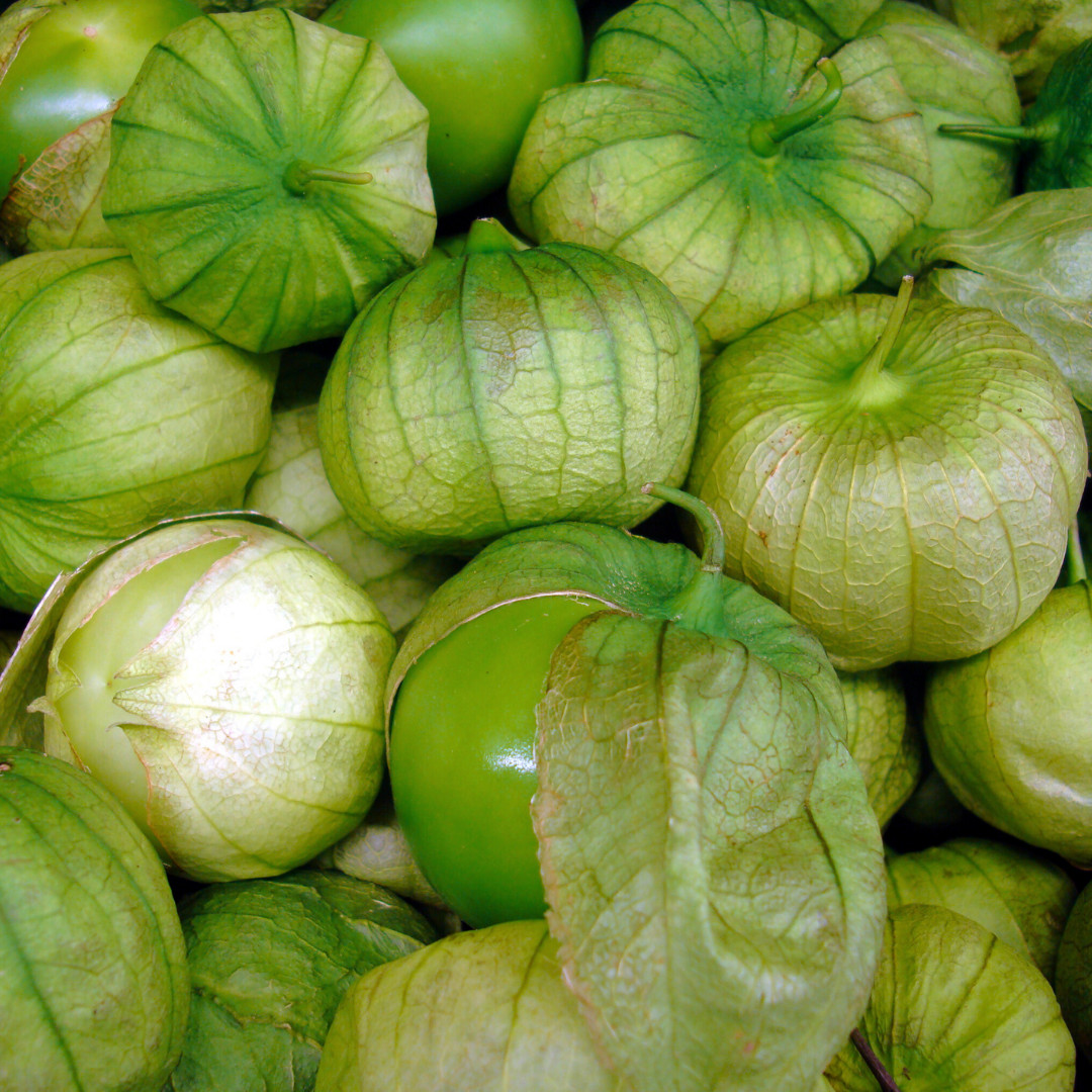 Fresh Sweet Tomatillo Seeds | Toma Verde | Heirloom Non-GMO | Vegetable Seeds