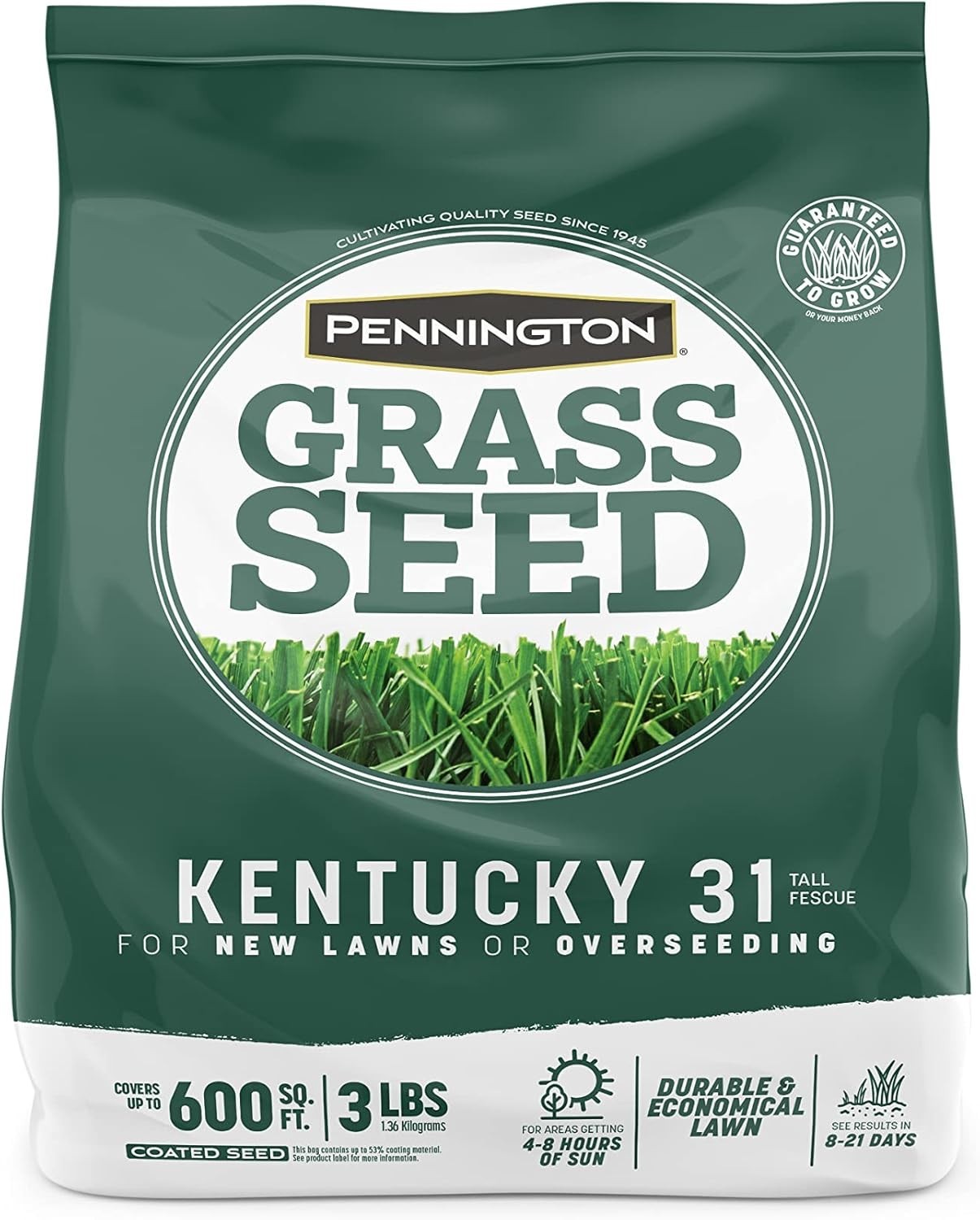 Economical Kentucky 31 Tall Fescue Penkoted Grass Seed, 3 lb – Fast Germination