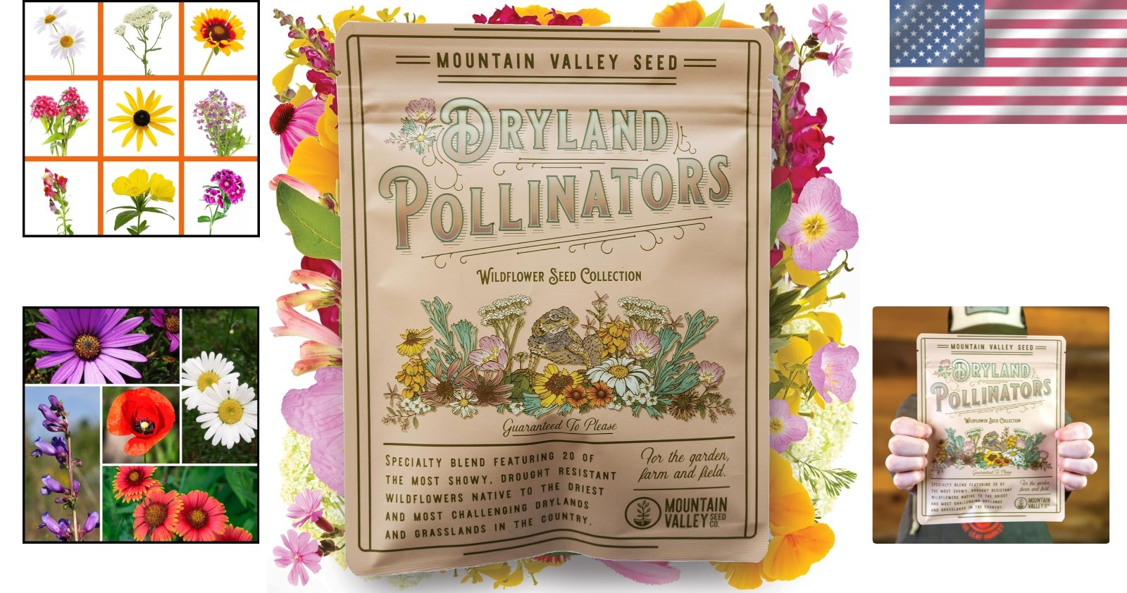 80,000+ Non-GMO Wildflower Seeds – Drought-Resistant Blend for Beautiful Gardens