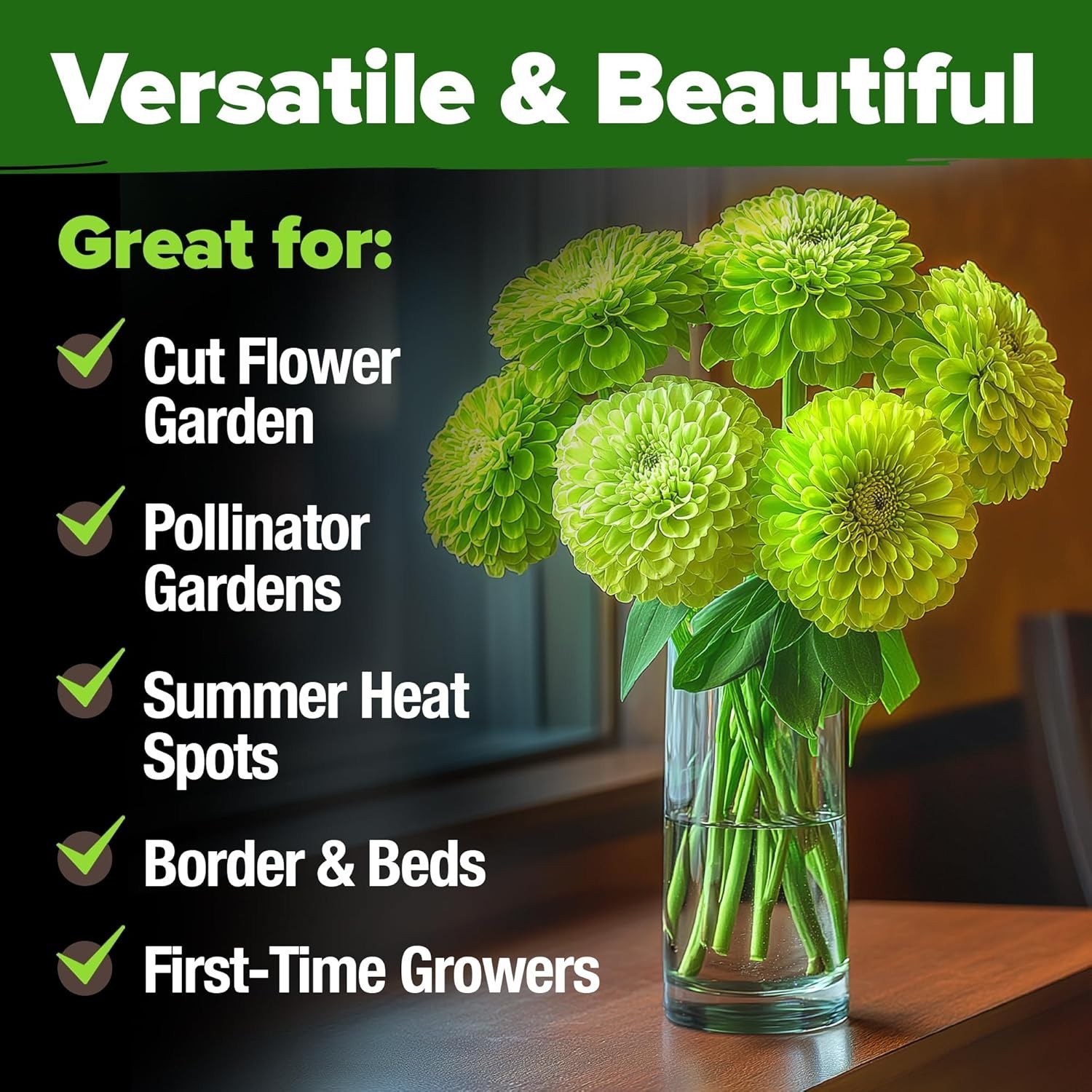 Heirloom Zinnia Seeds – 4300 Non-GMO Lime Green Flowers for Spectacular Gardens
