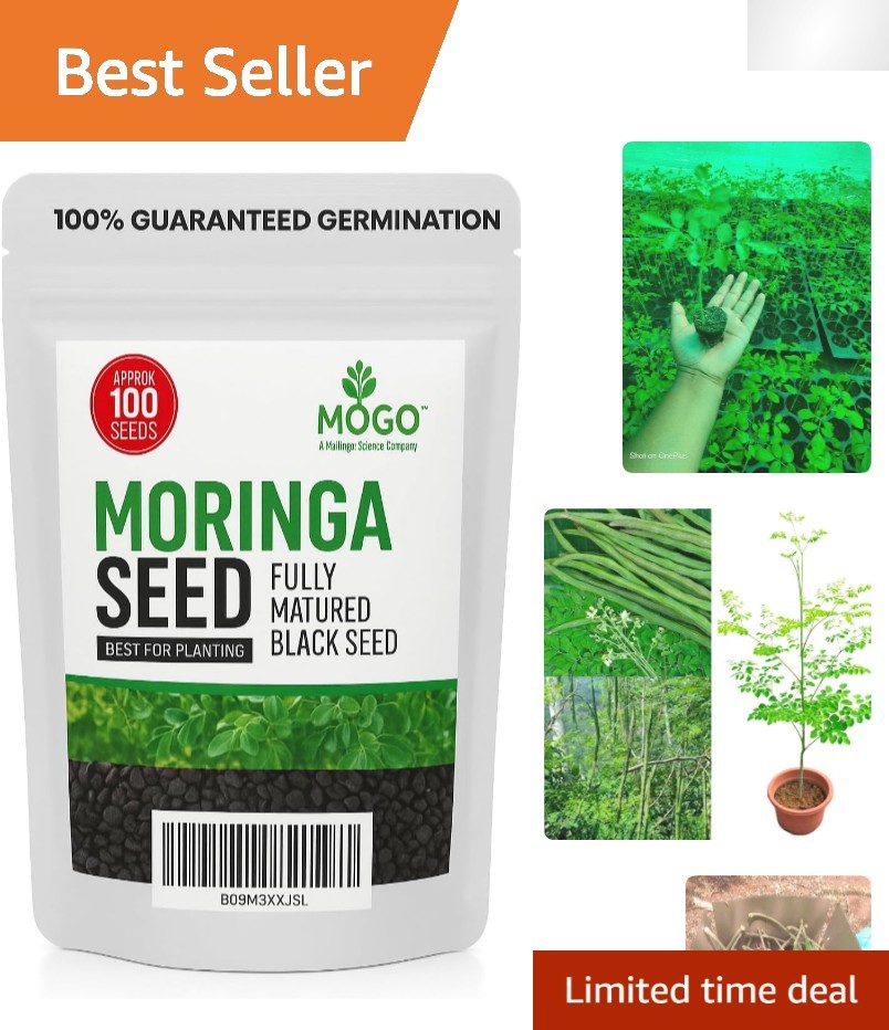 100 Organic Moringa Seeds for Edible Growth – Perfect for -Round Planting