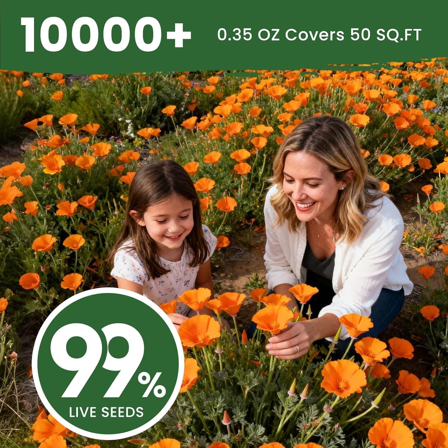 Wildflower Seeds California Orange Poppy 0,35 Ounce Packet Bulk Native State