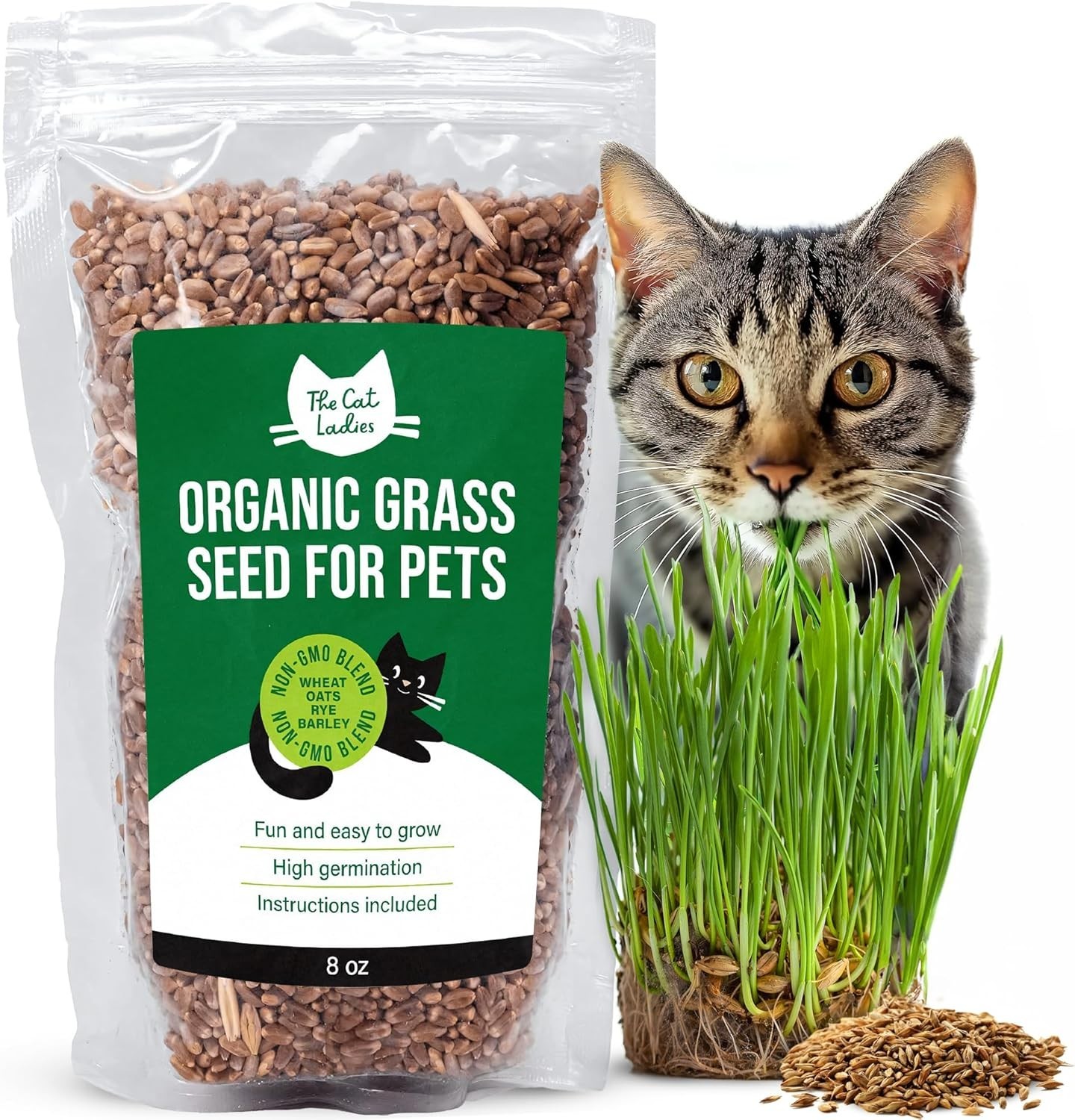 100% Organic Cat Grass Seed Non GMO 8oz