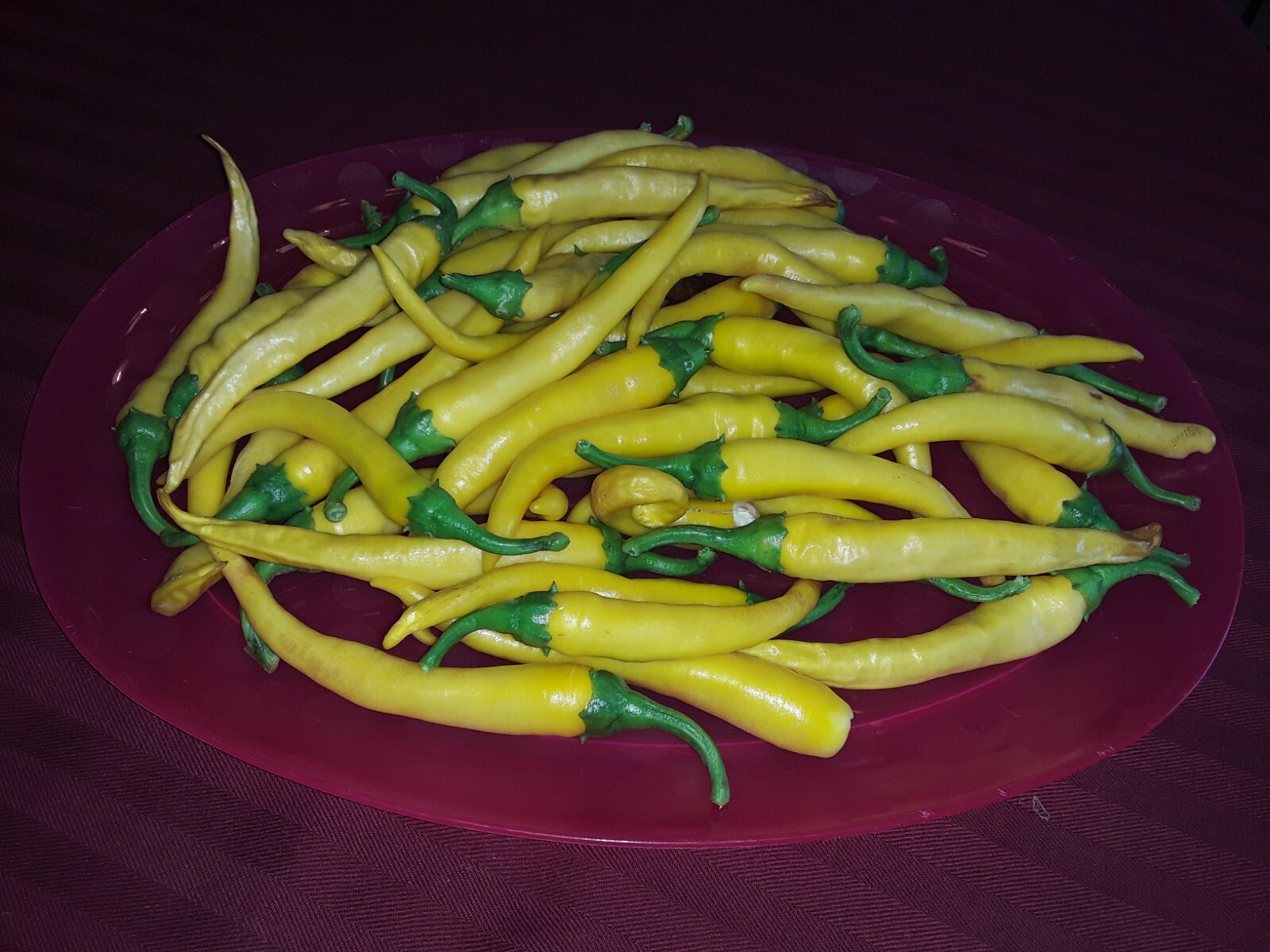 100 Yellow Cayenne pepper seeds Open Pollinated No pesticides or herbicides