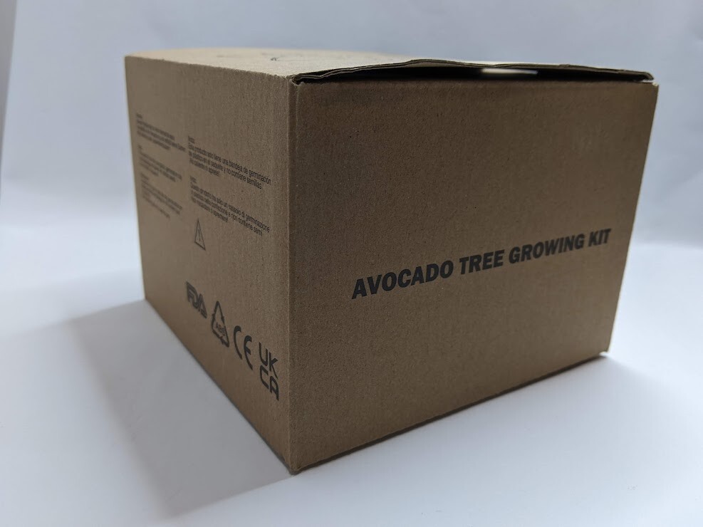 Avocado Tree Growing Kit with seed pod base and germination bowl Green OLIZE