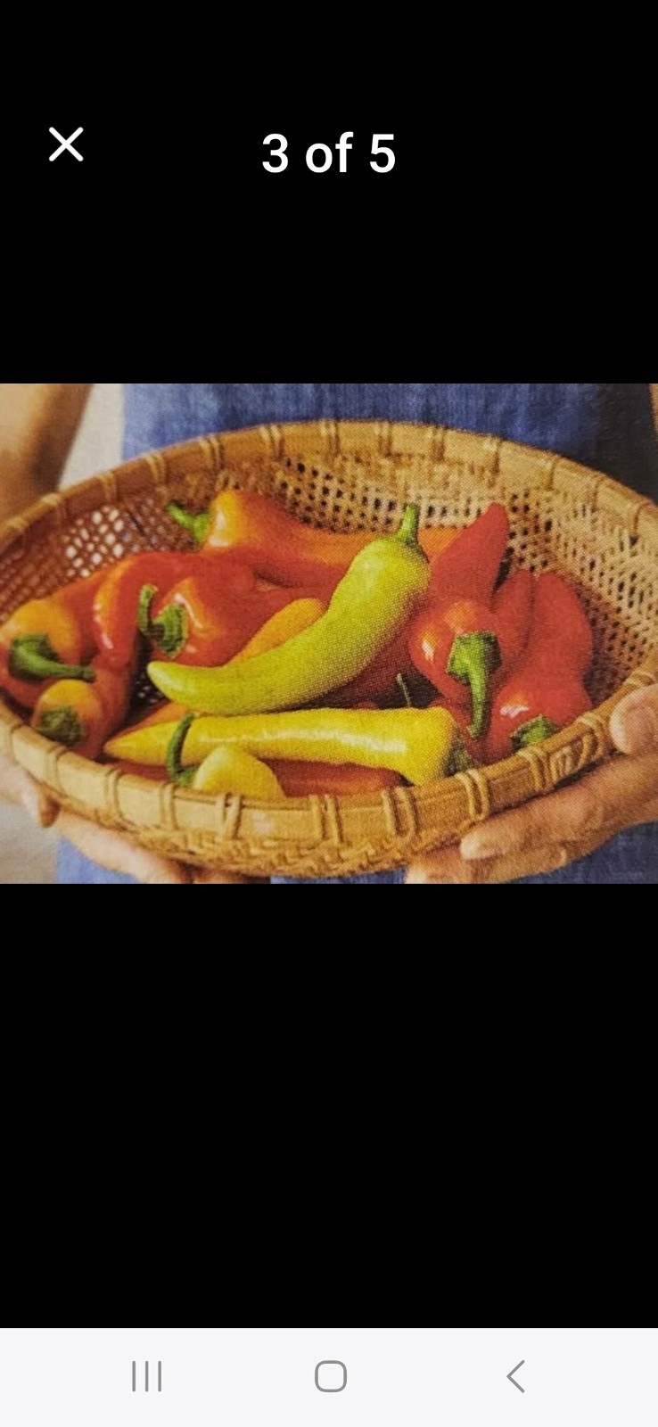 Assorted Pepper Seeds 9 Different Varieties Include LEYSA -Fresh SAVE Gift
