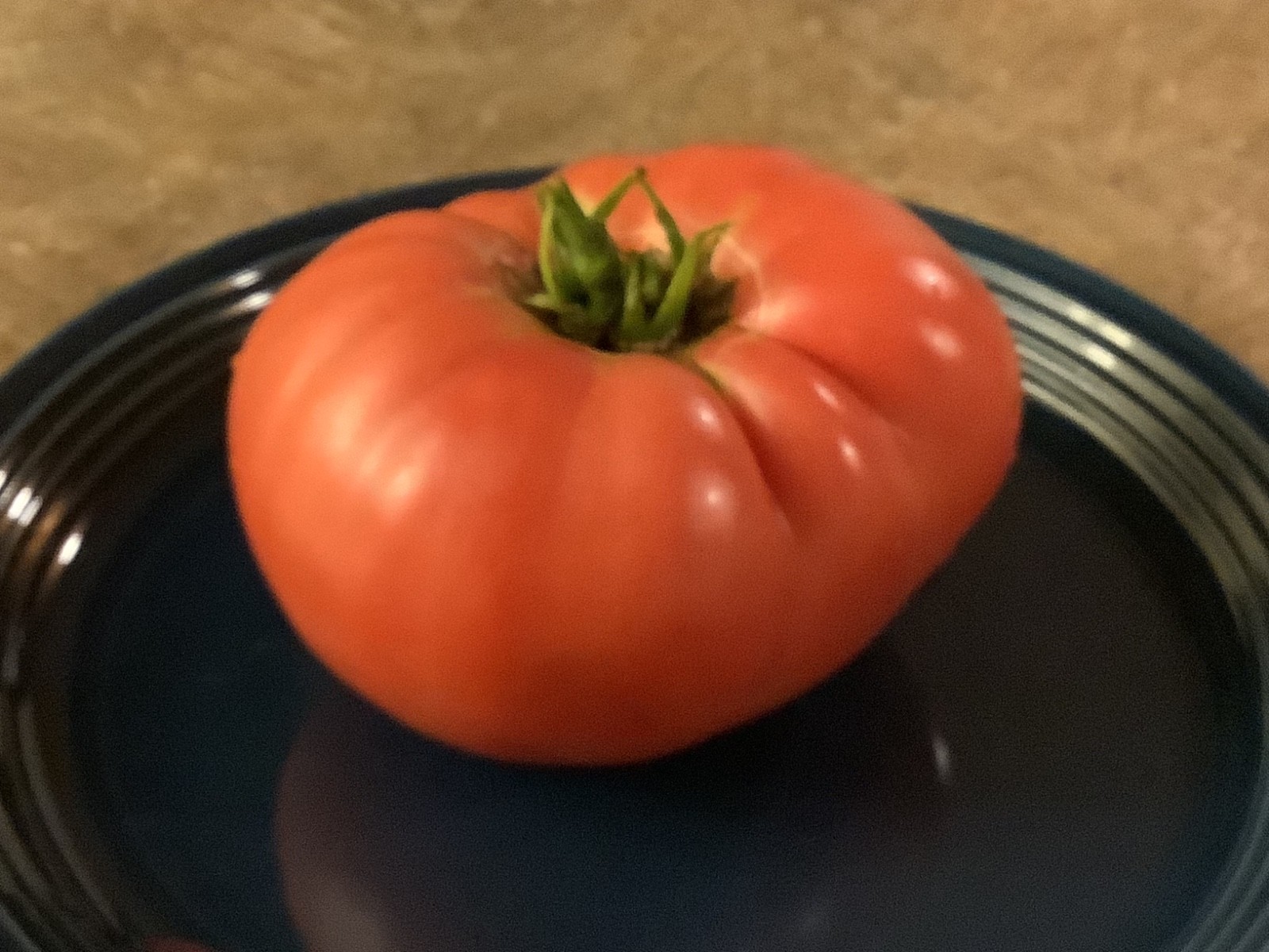 60 Pink Brandywine tomato seeds, Sudduth’s strain, beefsteak type heirloom