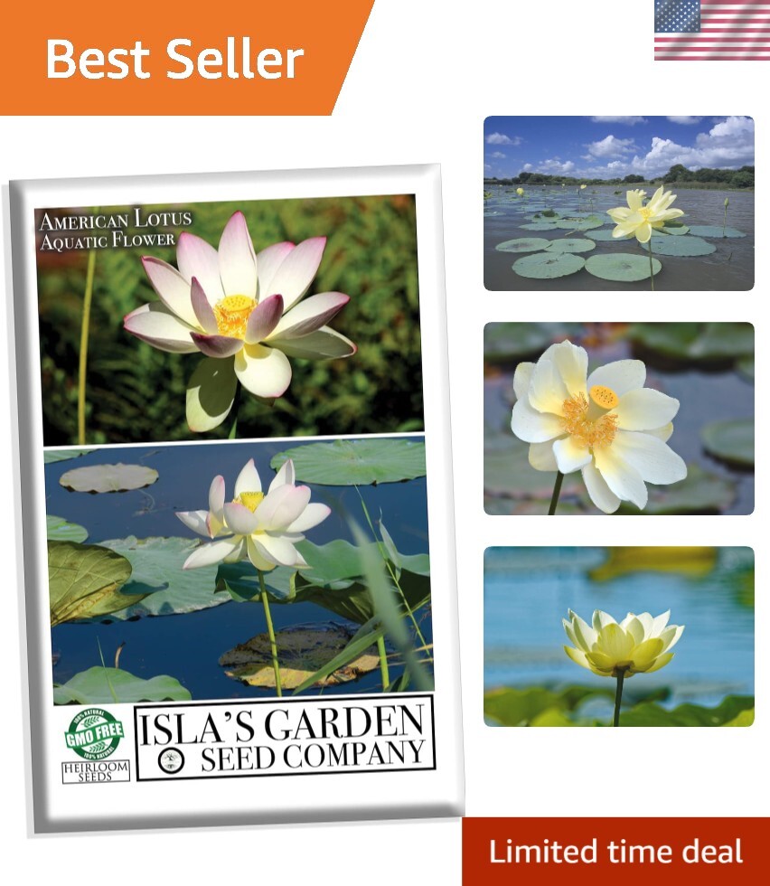 Native US Wildflower Seeds – American Lotus Perennials for Outdoor Water Gardens