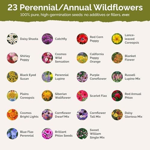 Northeast Wildflower Mixed Seeds – 1 lb, 480,000+ Seeds, Attracts Pollinators, P