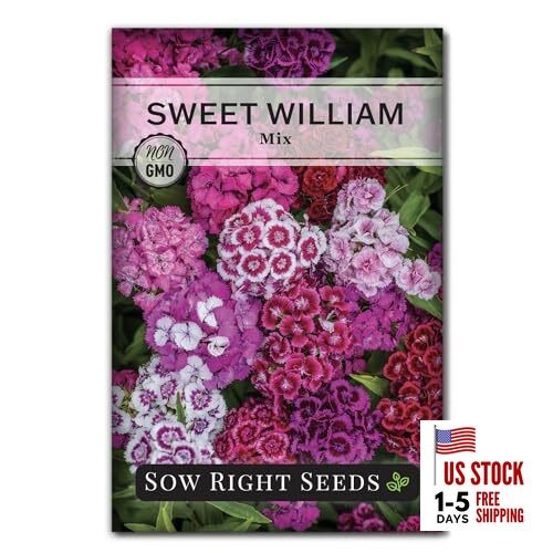 – Sweet William Mix Flower Seeds for Planting – Beautiful and Edible Biennal