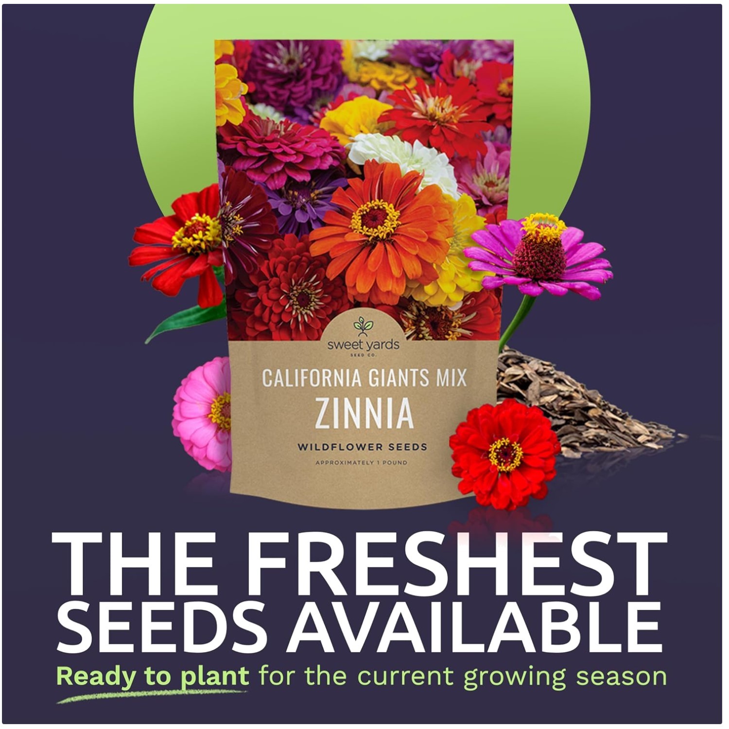 Zinnia Seeds – California Giants, 1lb