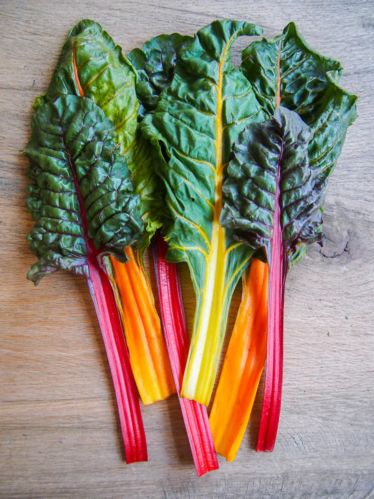 Rainbow Swiss Chard Seeds | Silverbeet Silver Beet Bright Color NONGMO Seed 2024