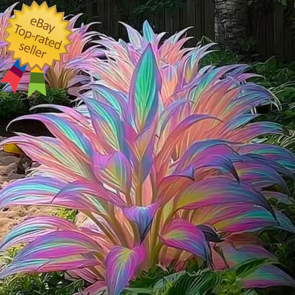 Mixed 305+ Hosta Seeds Mix for Planting,Colorsed Hostas Seeds Rare Perennial und