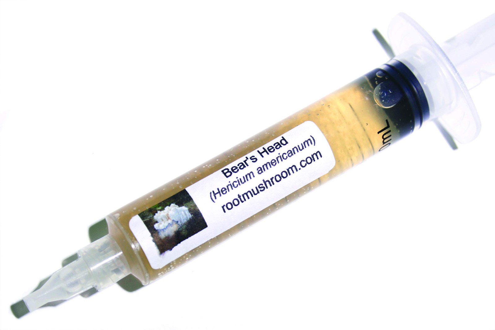 Mushroom Liquid Culture – Bear’s Head (Hericium americanum) for Cultivation