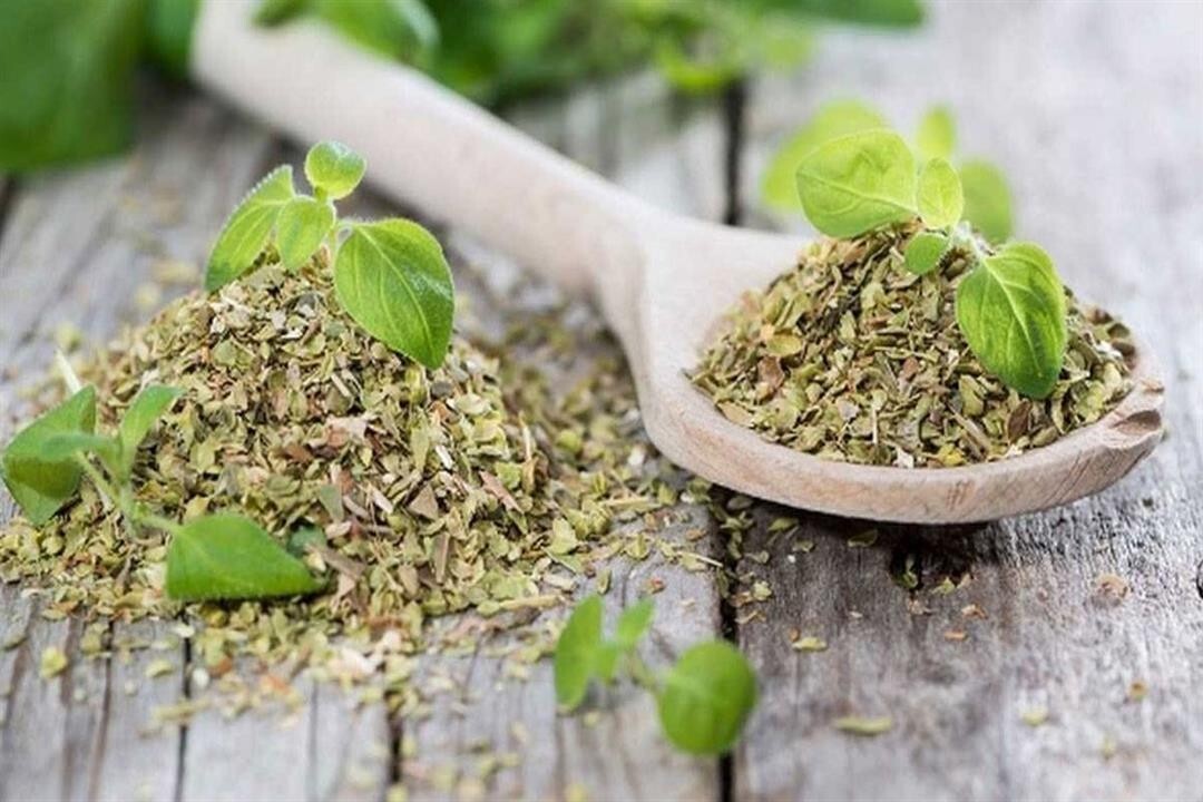 المردقوش Marjoram HerbوWinter Marjoram, Herb, NON-GMO 4 OZ