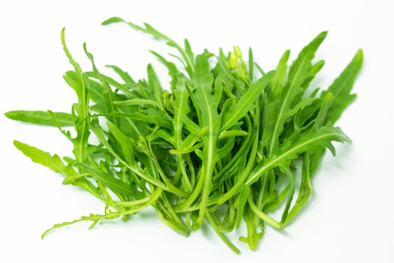 Roquette Arugula seeds