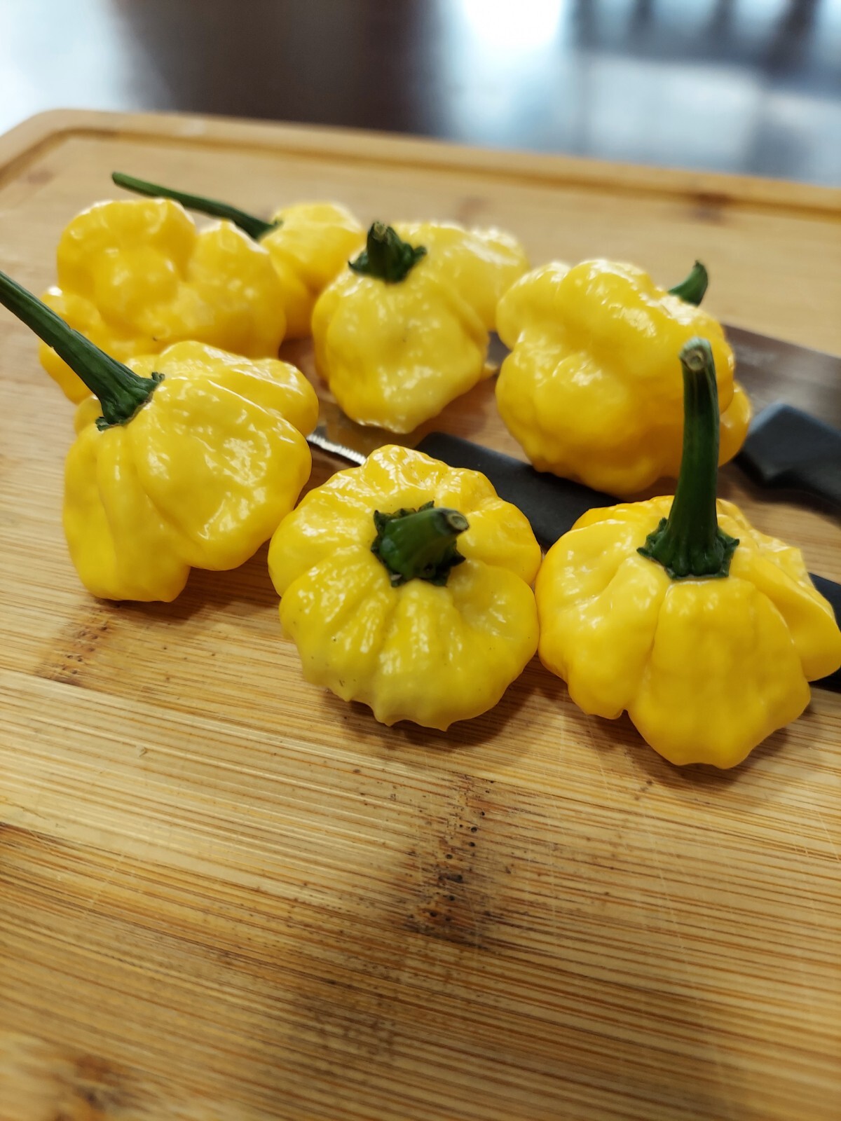 KS LEMON STARRBURST Pepper (10+) Seeds Spicy Super Hot Starr burst